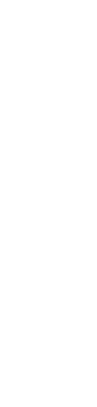 北海道産ウニ